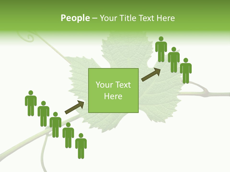 Green Isolation Grapes PowerPoint Template