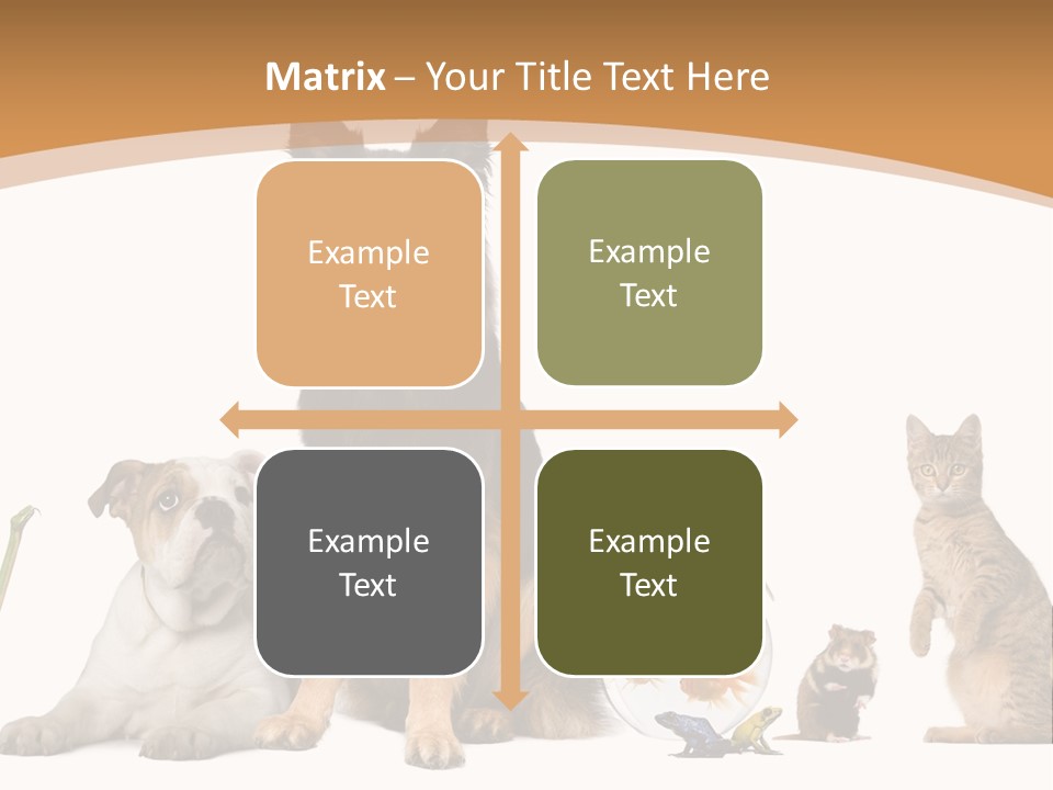 German Shepherd Looking At Camera Ferret PowerPoint Template