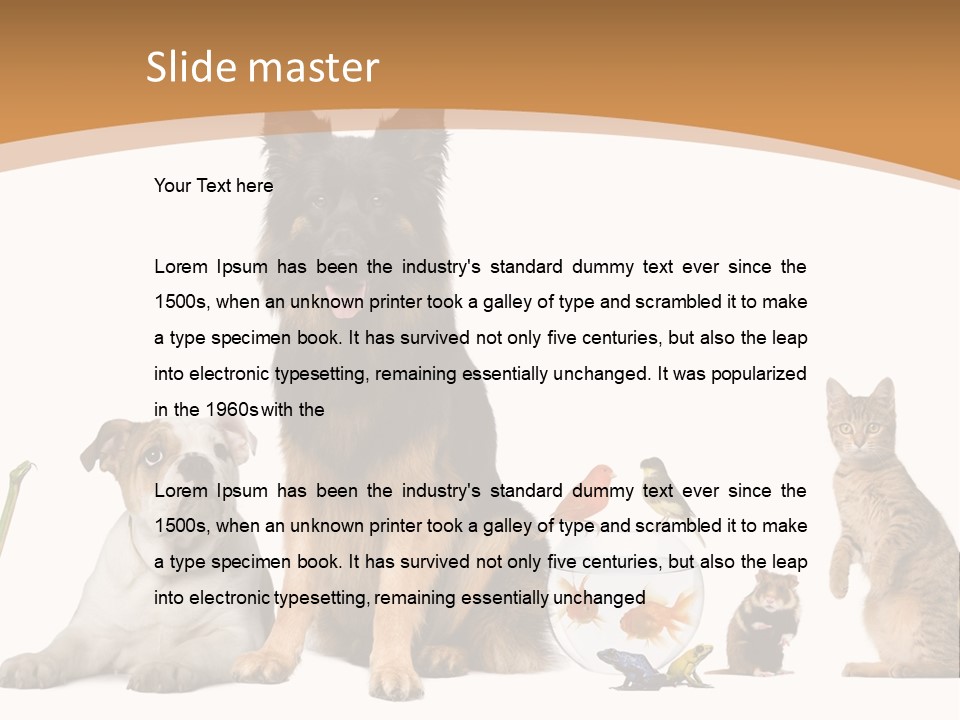 German Shepherd Looking At Camera Ferret PowerPoint Template