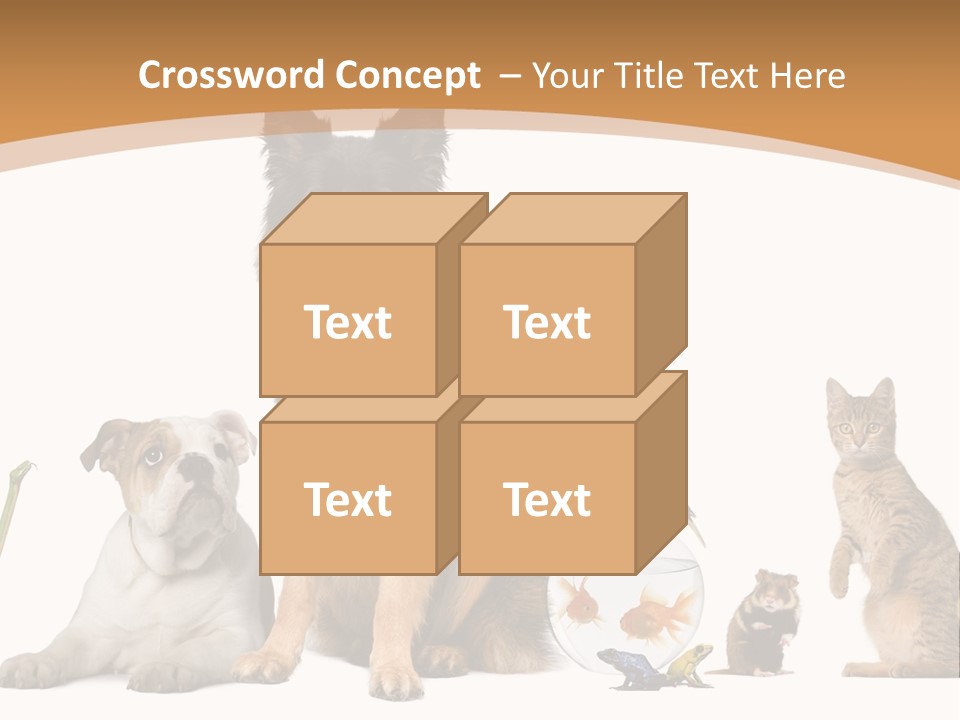 German Shepherd Looking At Camera Ferret PowerPoint Template