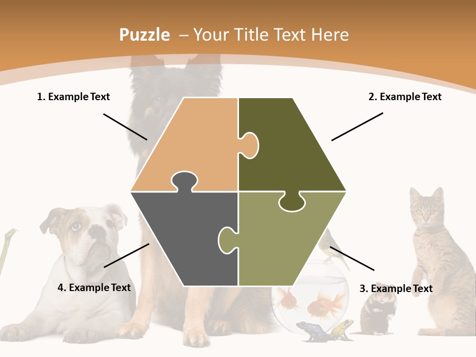 German Shepherd Looking At Camera Ferret PowerPoint Template