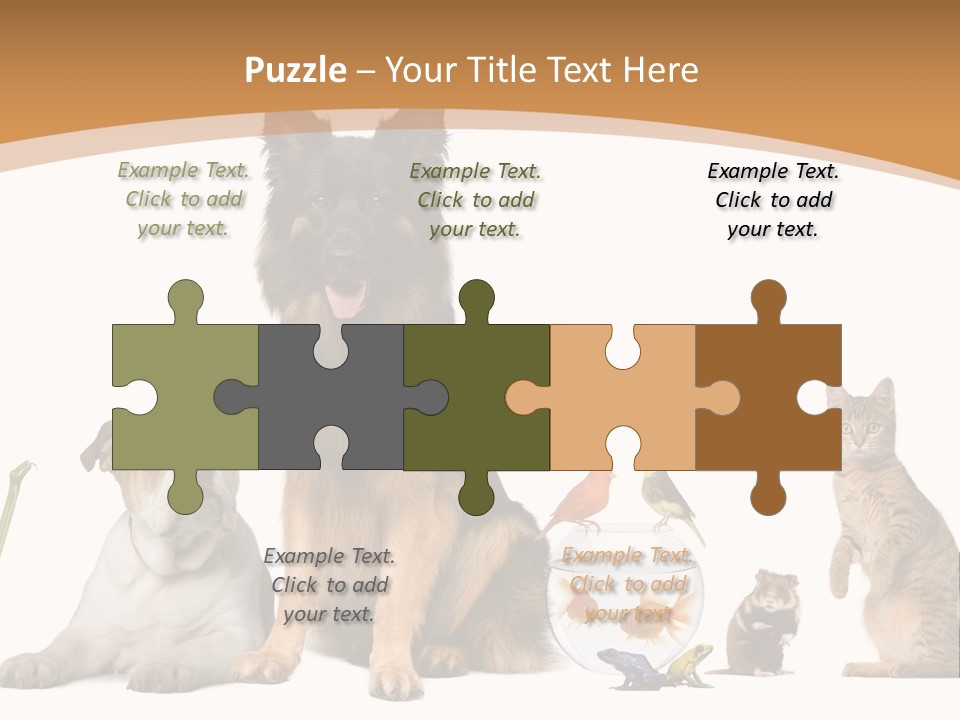 German Shepherd Looking At Camera Ferret PowerPoint Template