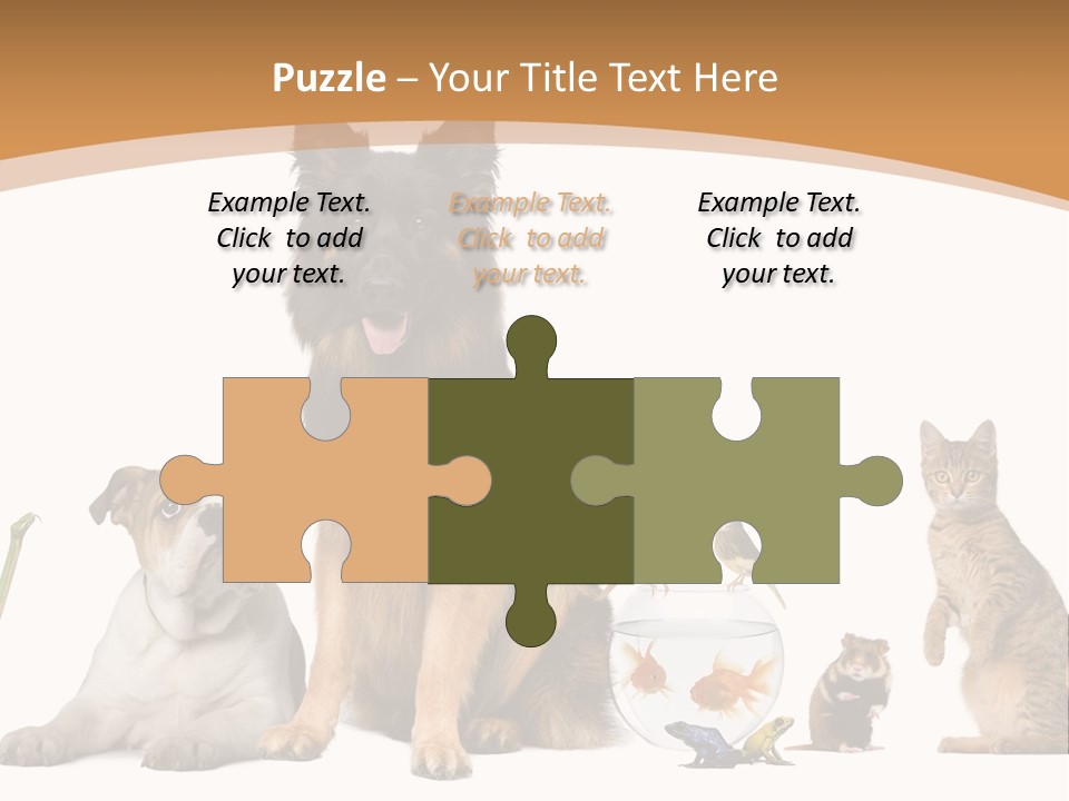 German Shepherd Looking At Camera Ferret PowerPoint Template