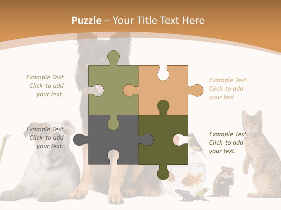 German Shepherd Looking At Camera Ferret PowerPoint Template