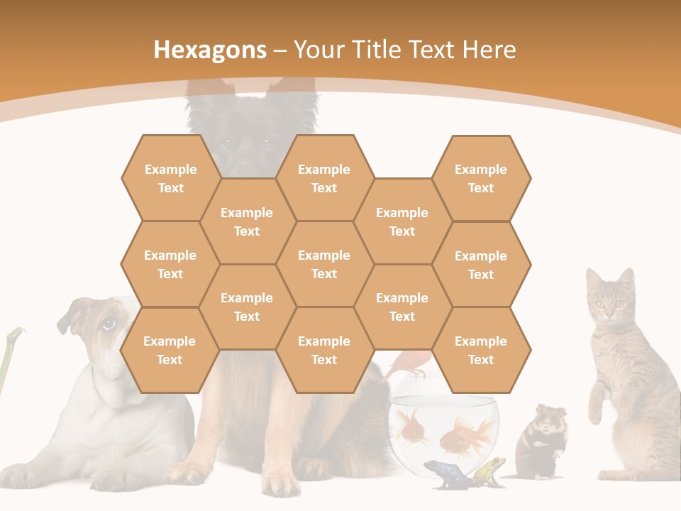 German Shepherd Looking At Camera Ferret PowerPoint Template