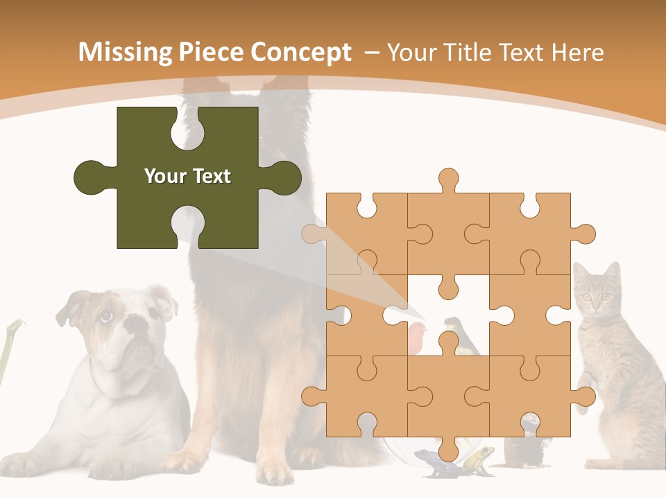 German Shepherd Looking At Camera Ferret PowerPoint Template