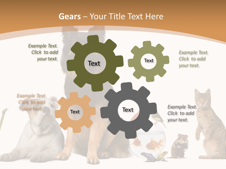 German Shepherd Looking At Camera Ferret PowerPoint Template