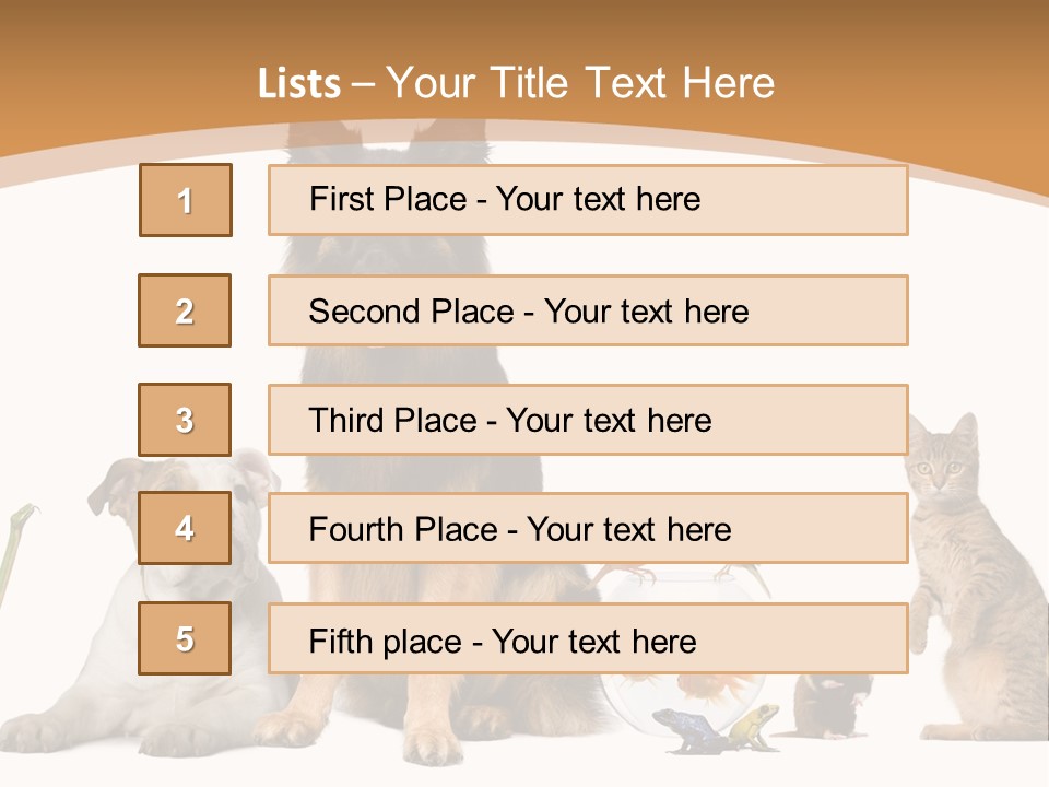 German Shepherd Looking At Camera Ferret PowerPoint Template