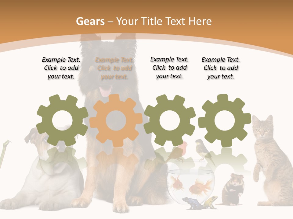German Shepherd Looking At Camera Ferret PowerPoint Template