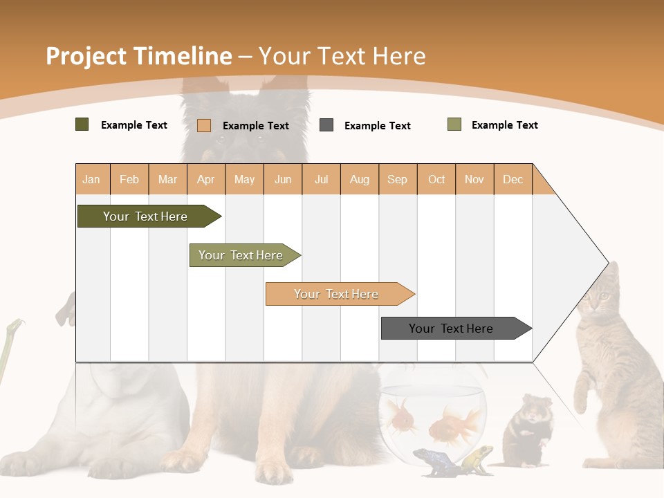 German Shepherd Looking At Camera Ferret PowerPoint Template