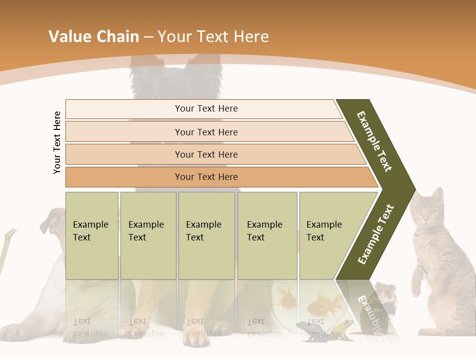 German Shepherd Looking At Camera Ferret PowerPoint Template