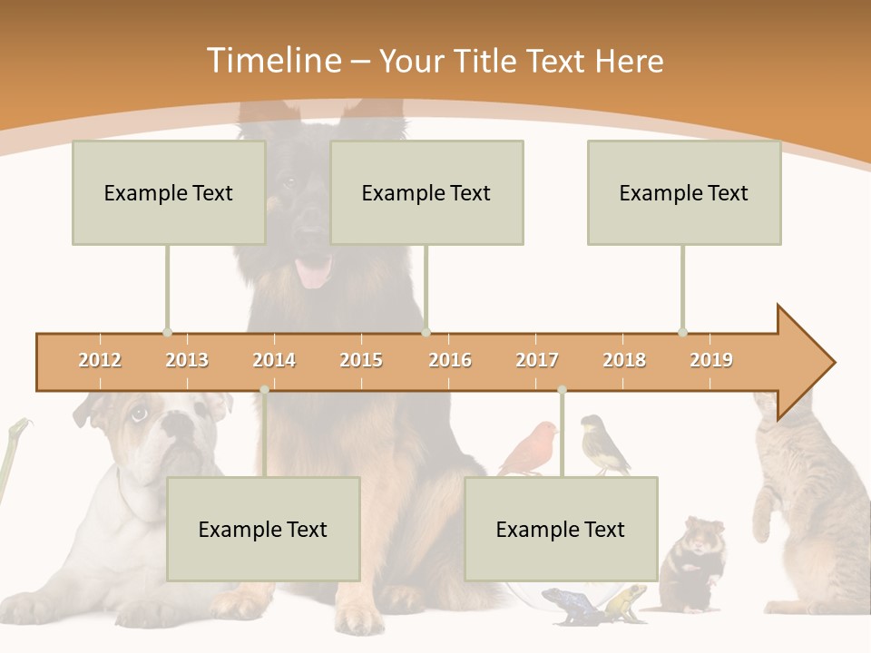 German Shepherd Looking At Camera Ferret PowerPoint Template