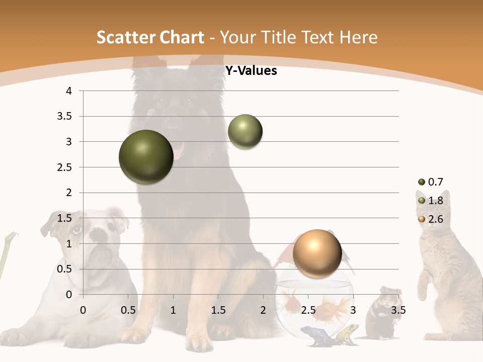 German Shepherd Looking At Camera Ferret PowerPoint Template