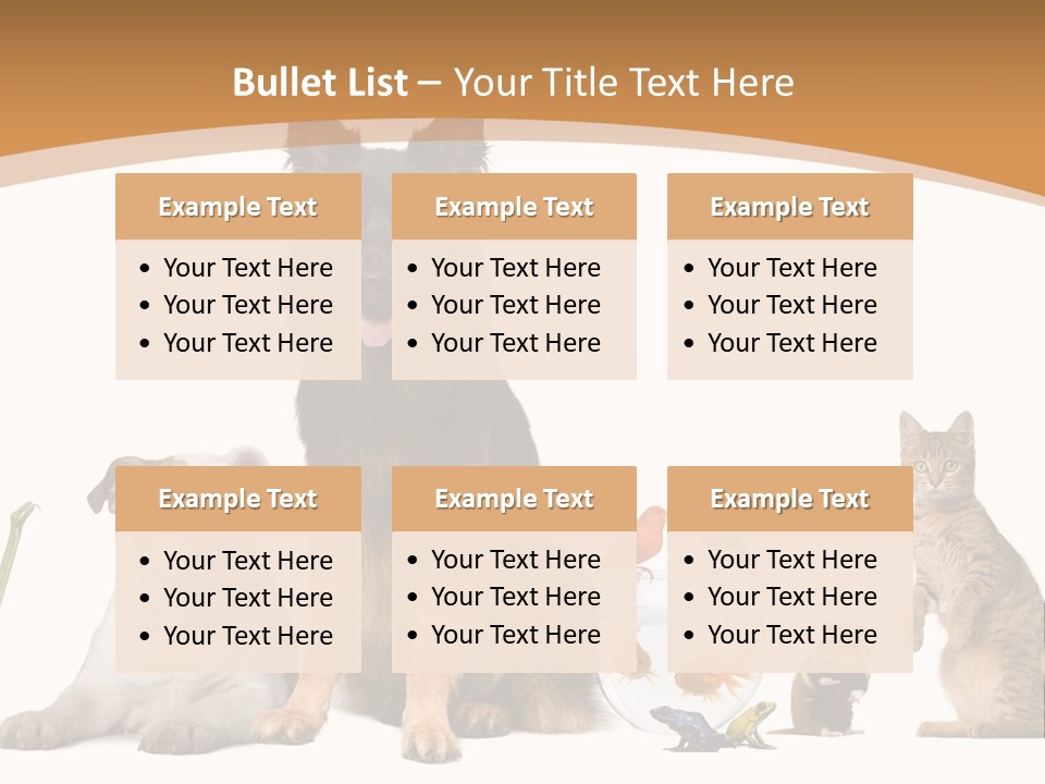 German Shepherd Looking At Camera Ferret PowerPoint Template