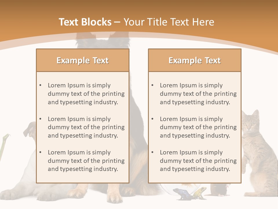 German Shepherd Looking At Camera Ferret PowerPoint Template