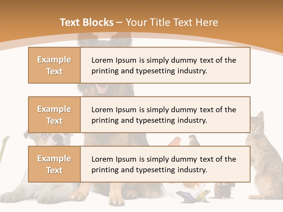 German Shepherd Looking At Camera Ferret PowerPoint Template