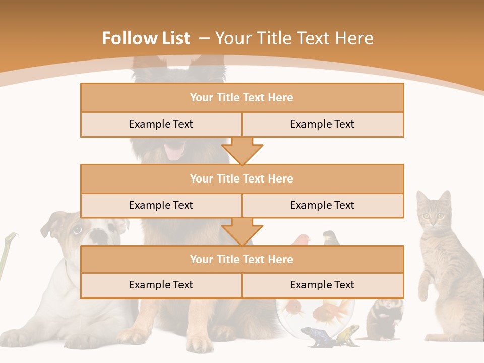 German Shepherd Looking At Camera Ferret PowerPoint Template