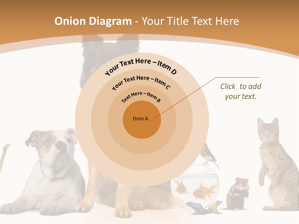 German Shepherd Looking At Camera Ferret PowerPoint Template