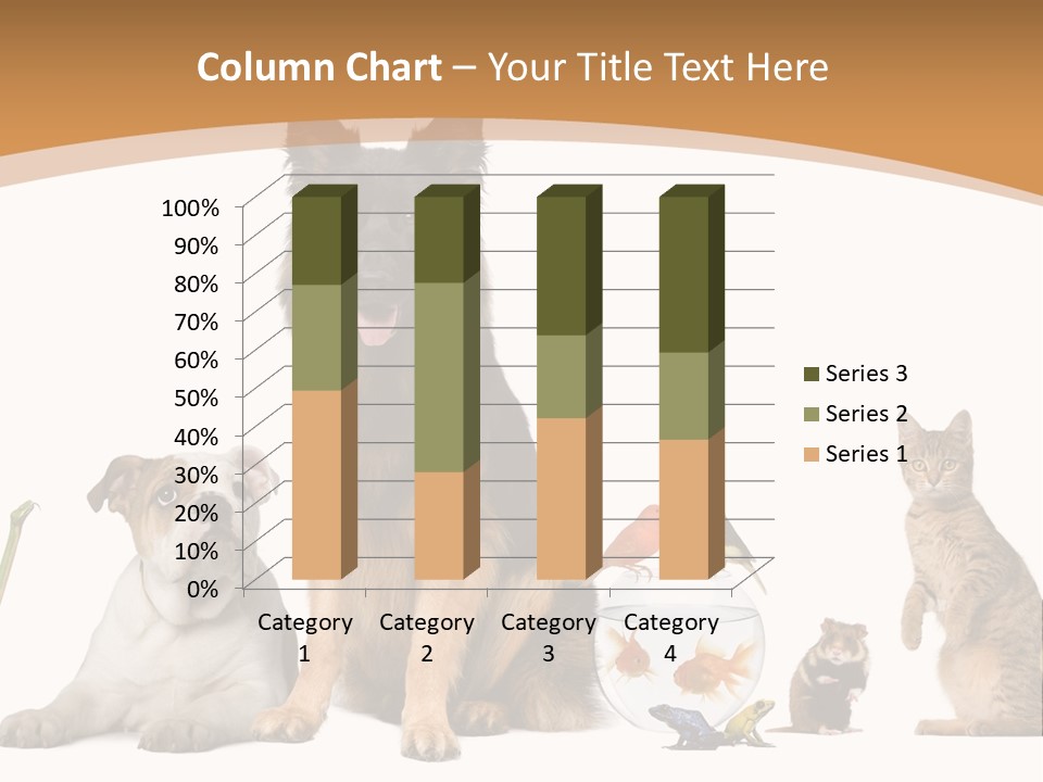 German Shepherd Looking At Camera Ferret PowerPoint Template