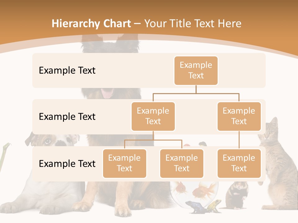 German Shepherd Looking At Camera Ferret PowerPoint Template