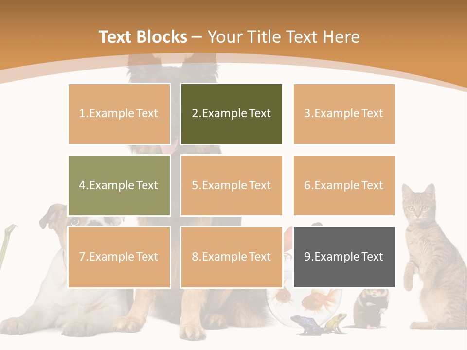 German Shepherd Looking At Camera Ferret PowerPoint Template