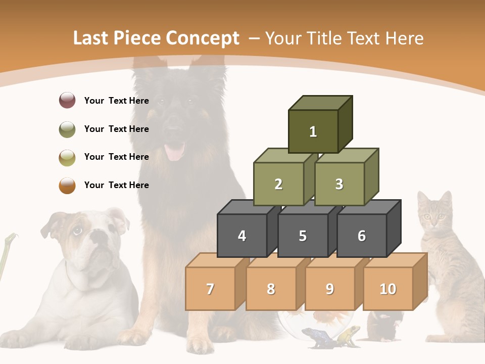 German Shepherd Looking At Camera Ferret PowerPoint Template