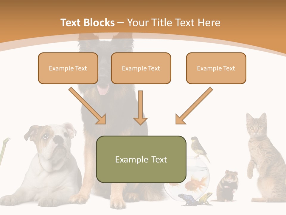 German Shepherd Looking At Camera Ferret PowerPoint Template