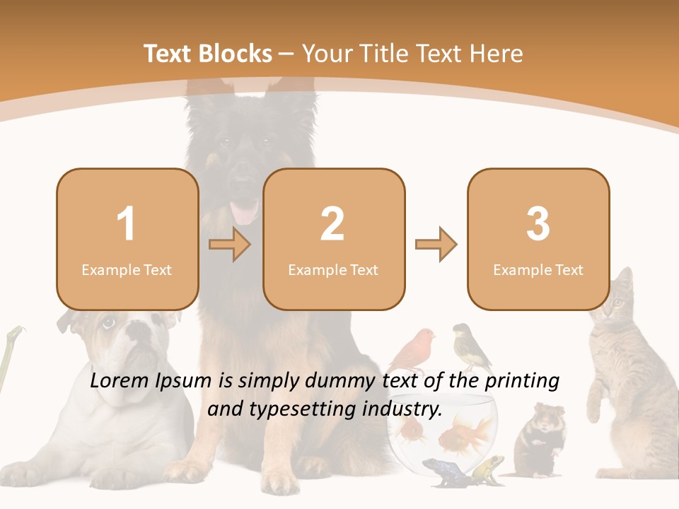 German Shepherd Looking At Camera Ferret PowerPoint Template