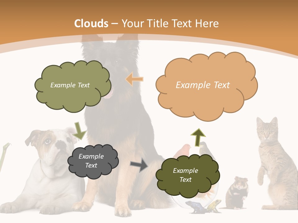 German Shepherd Looking At Camera Ferret PowerPoint Template