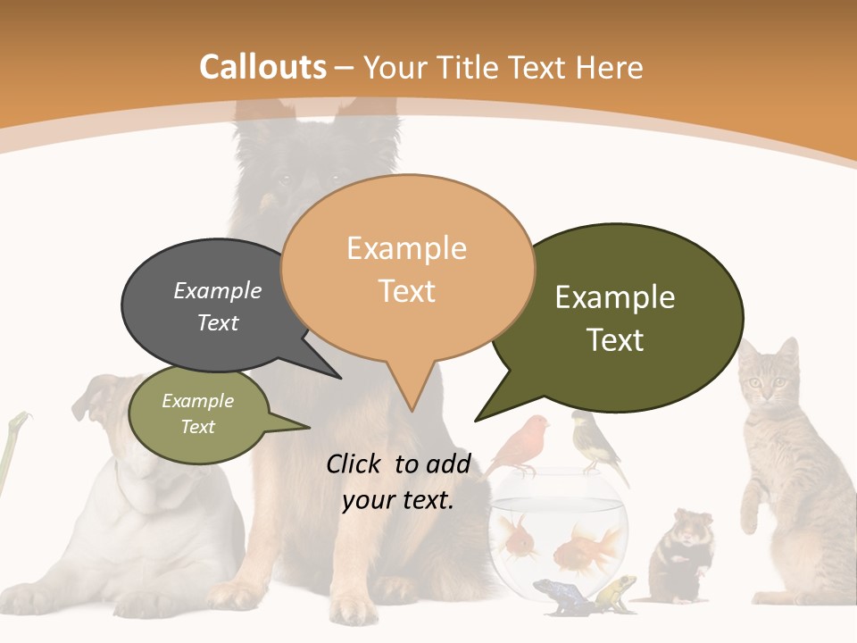 German Shepherd Looking At Camera Ferret PowerPoint Template