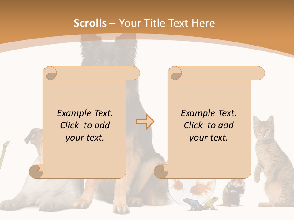 German Shepherd Looking At Camera Ferret PowerPoint Template