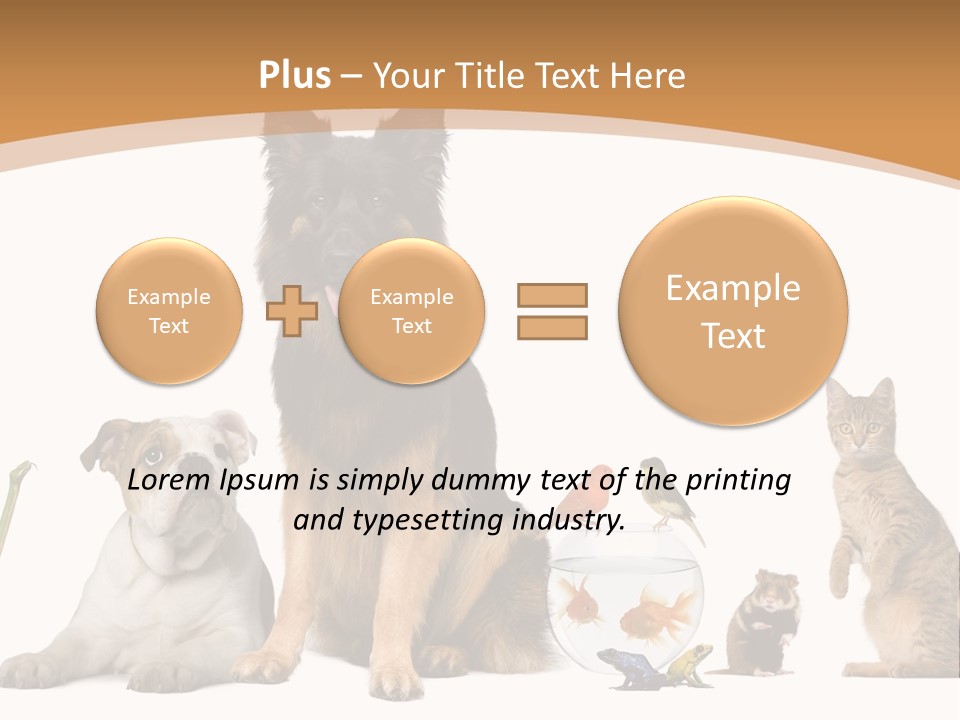 German Shepherd Looking At Camera Ferret PowerPoint Template
