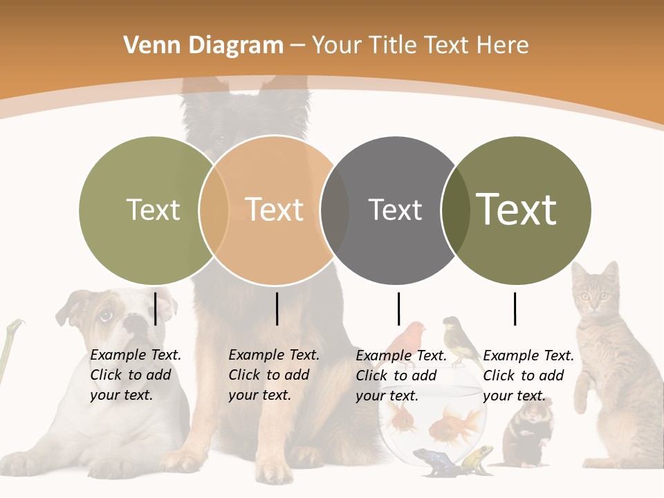 German Shepherd Looking At Camera Ferret PowerPoint Template