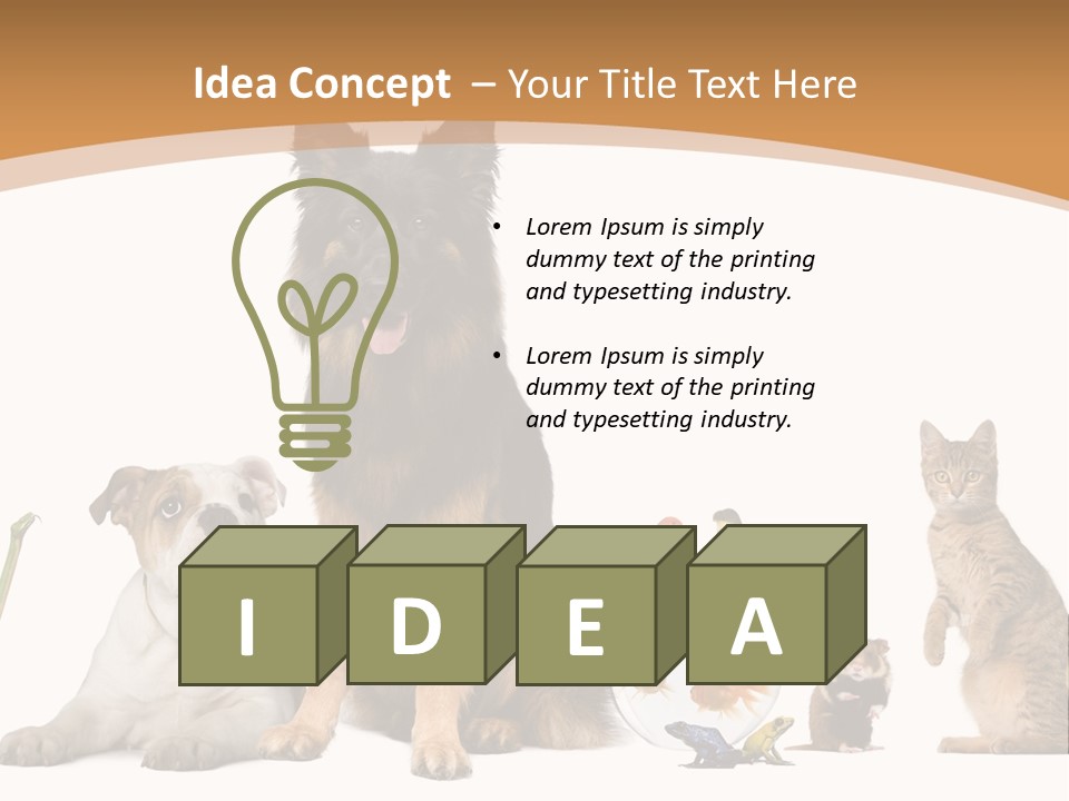 German Shepherd Looking At Camera Ferret PowerPoint Template