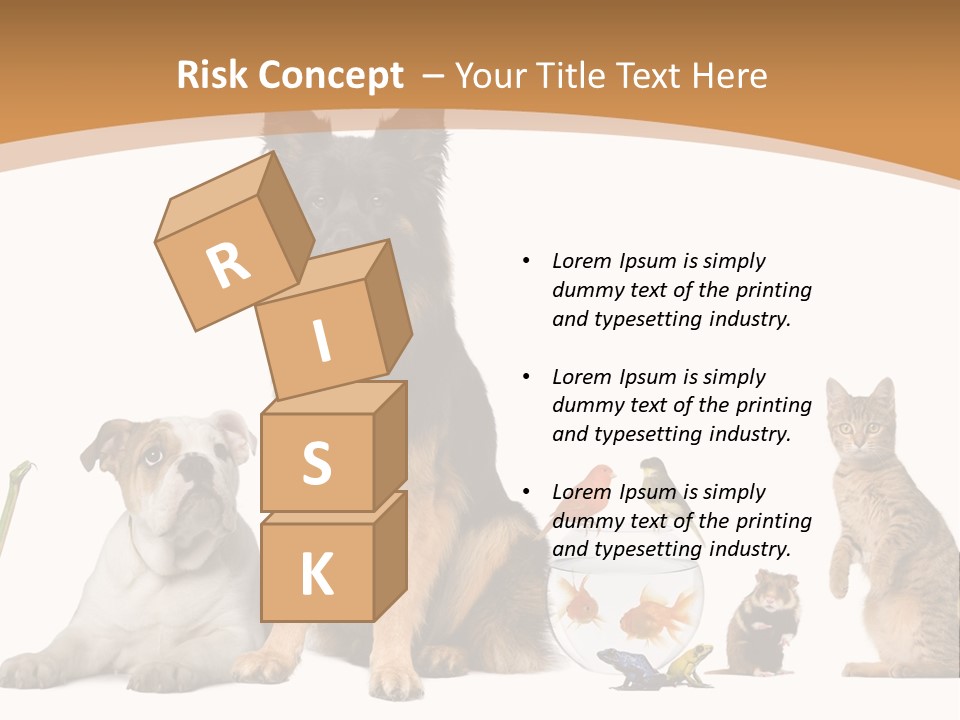 German Shepherd Looking At Camera Ferret PowerPoint Template