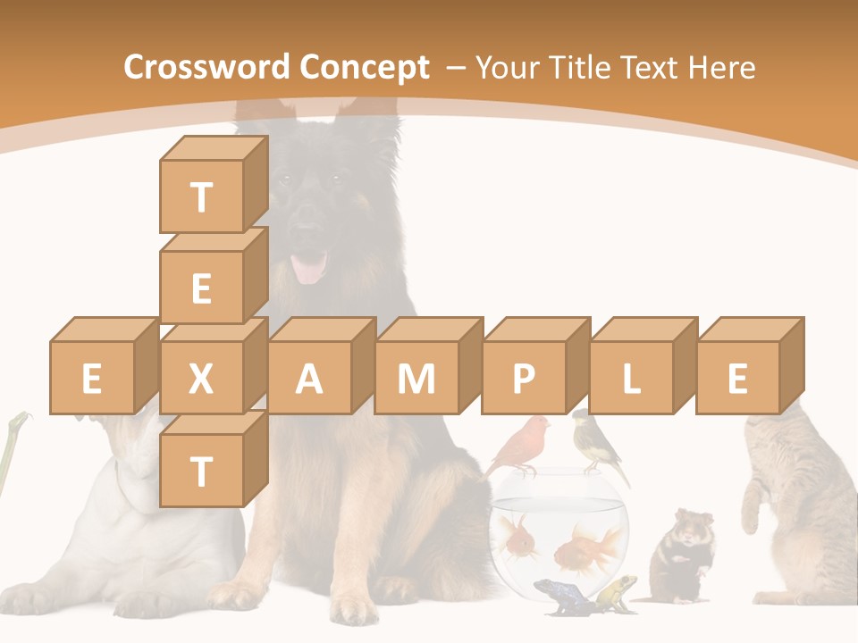 German Shepherd Looking At Camera Ferret PowerPoint Template