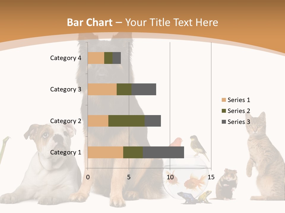 German Shepherd Looking At Camera Ferret PowerPoint Template