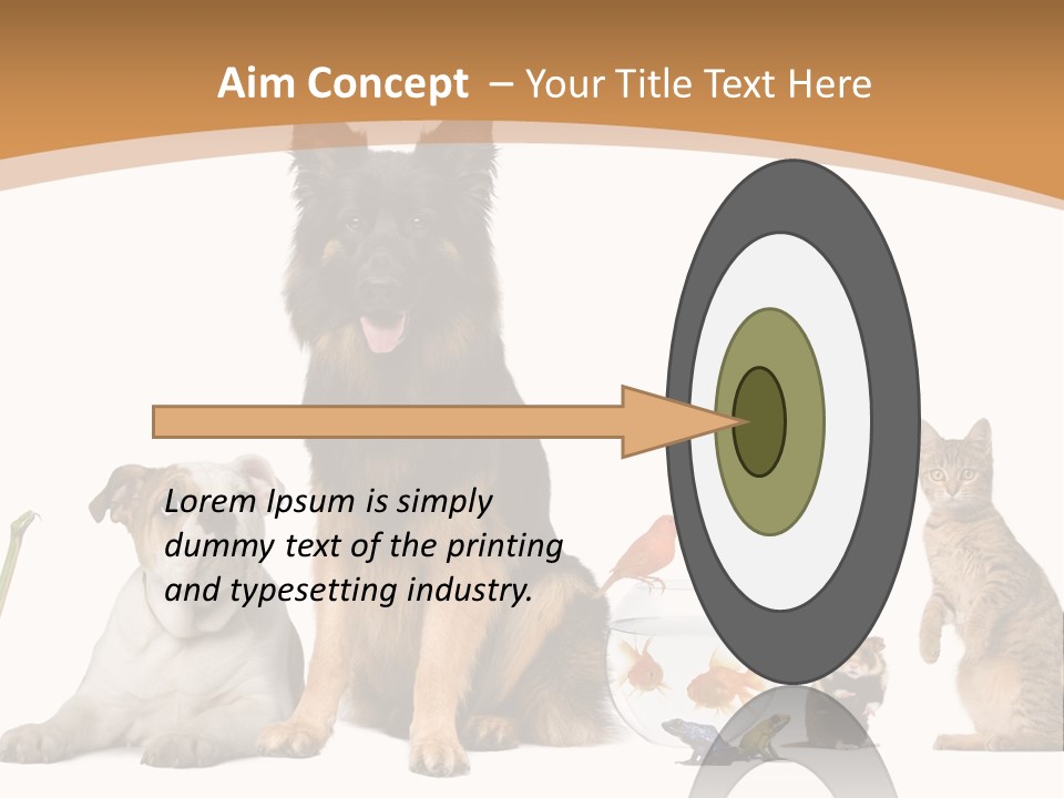 German Shepherd Looking At Camera Ferret PowerPoint Template