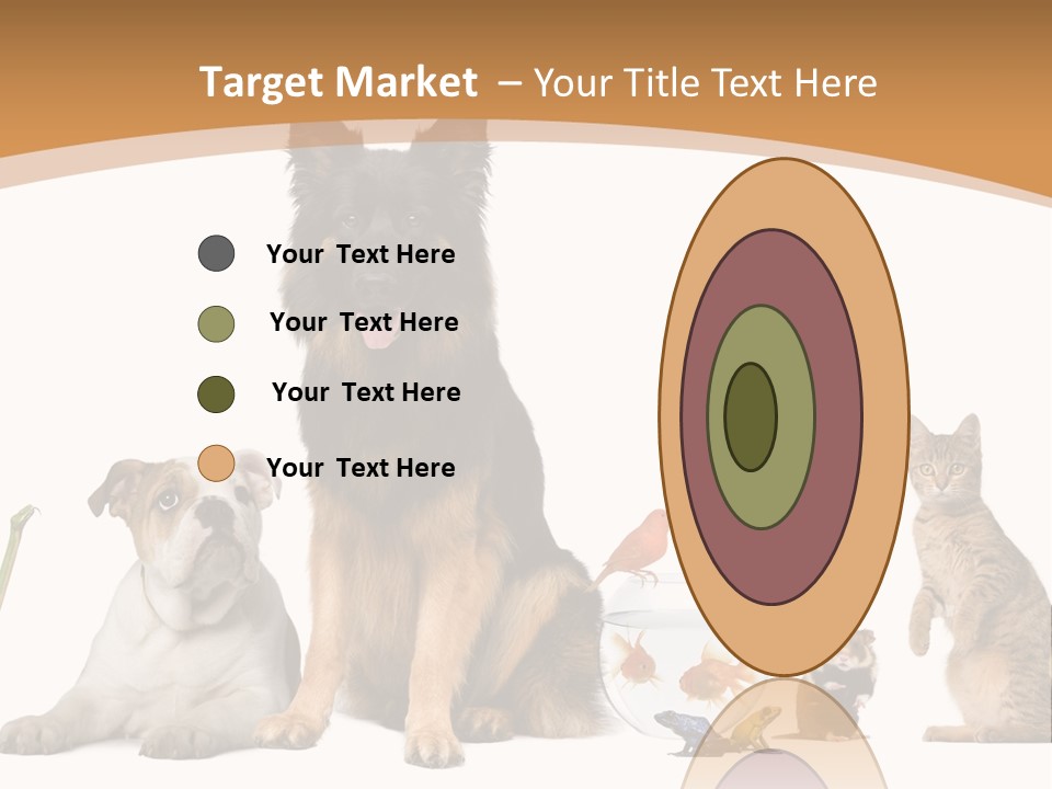German Shepherd Looking At Camera Ferret PowerPoint Template