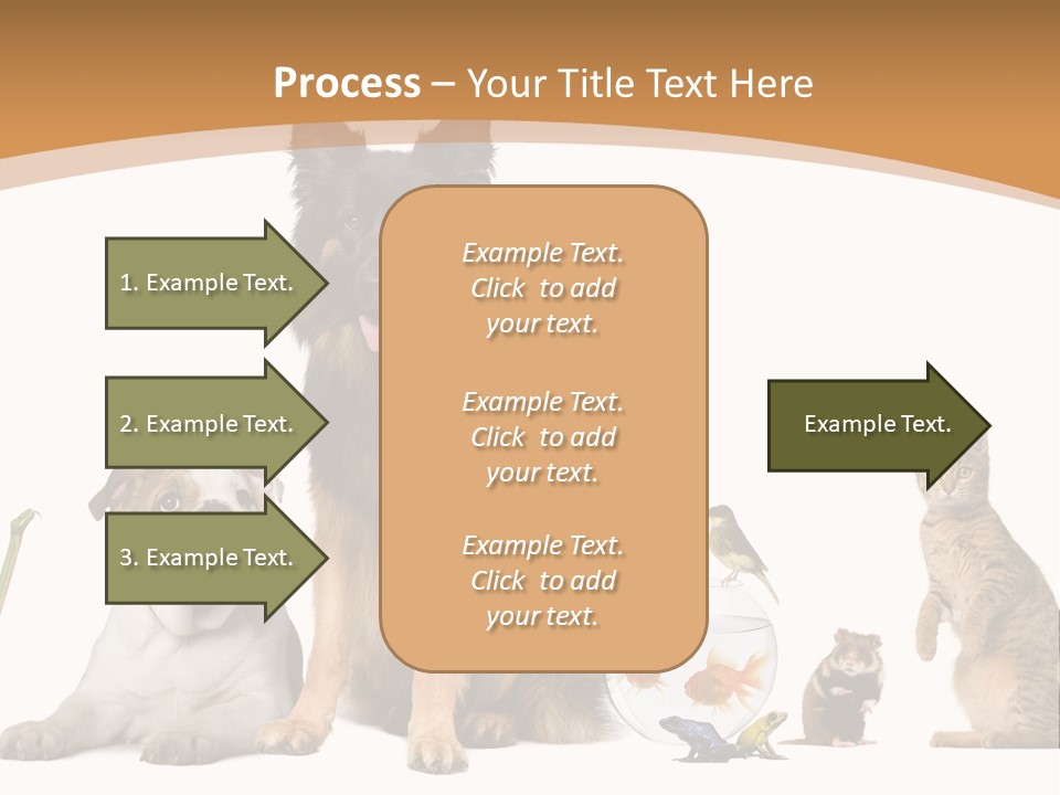 German Shepherd Looking At Camera Ferret PowerPoint Template