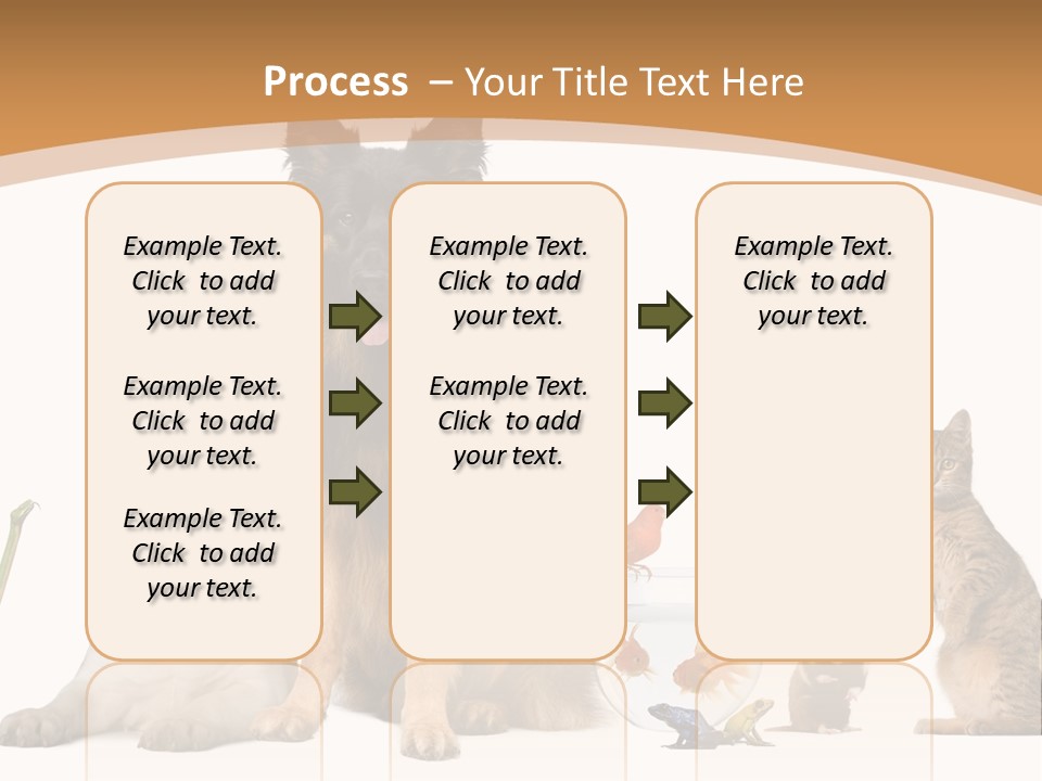 German Shepherd Looking At Camera Ferret PowerPoint Template