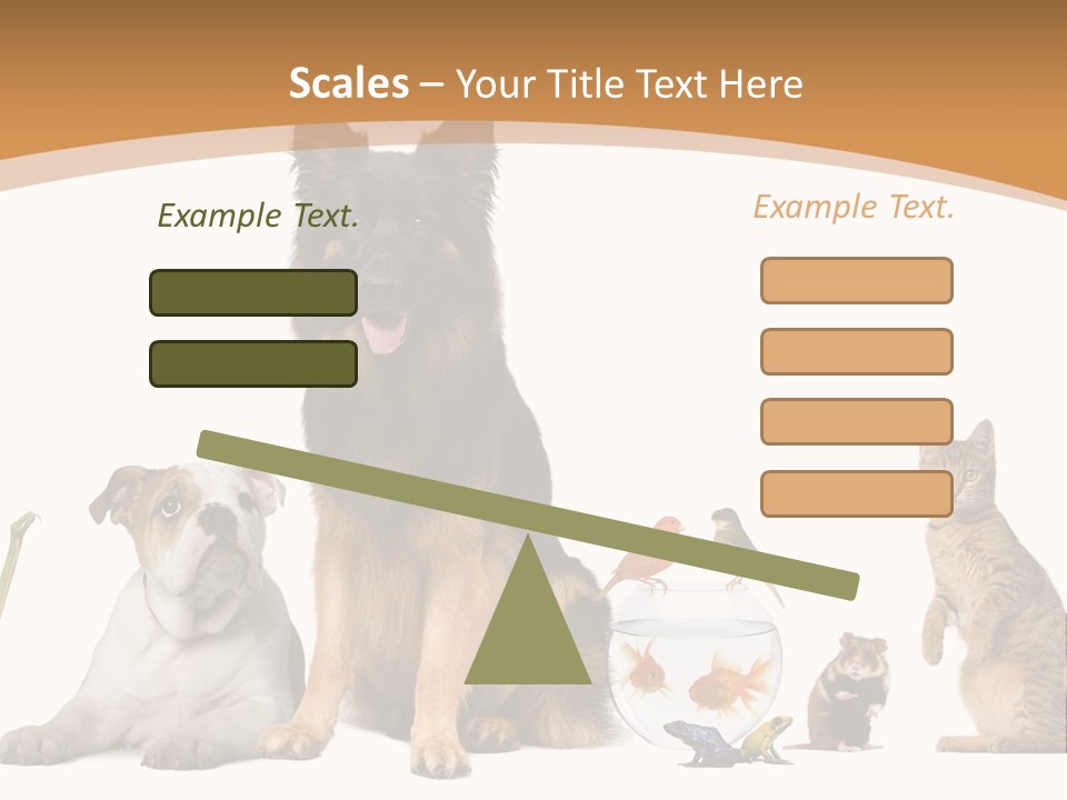 German Shepherd Looking At Camera Ferret PowerPoint Template