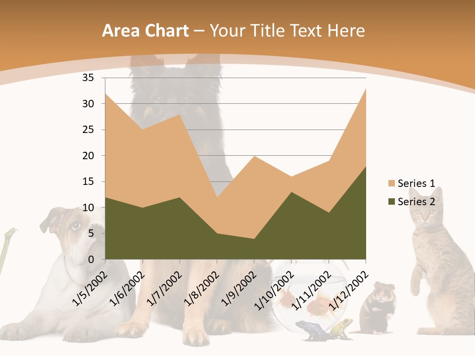 German Shepherd Looking At Camera Ferret PowerPoint Template