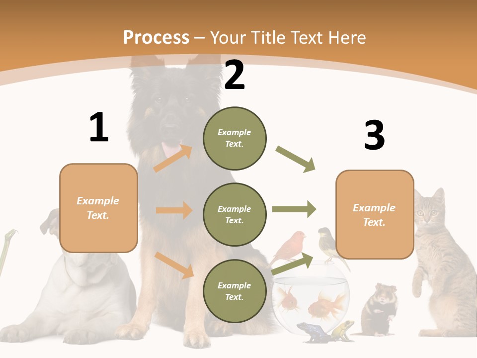 German Shepherd Looking At Camera Ferret PowerPoint Template