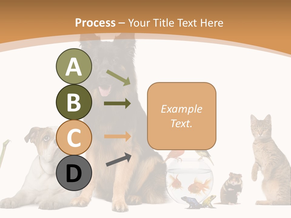 German Shepherd Looking At Camera Ferret PowerPoint Template