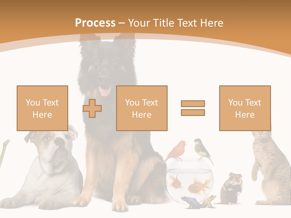 German Shepherd Looking At Camera Ferret PowerPoint Template