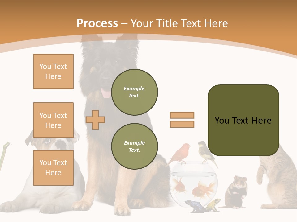 German Shepherd Looking At Camera Ferret PowerPoint Template