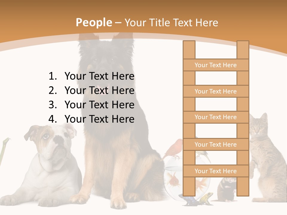 German Shepherd Looking At Camera Ferret PowerPoint Template
