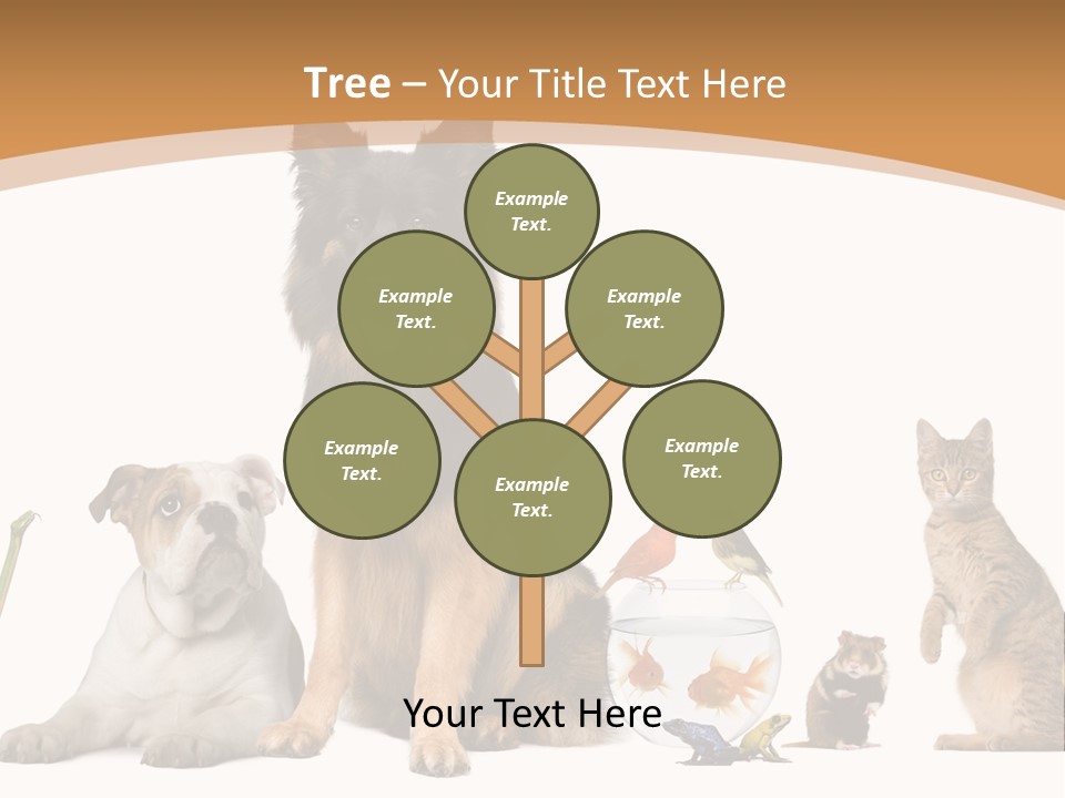 German Shepherd Looking At Camera Ferret PowerPoint Template