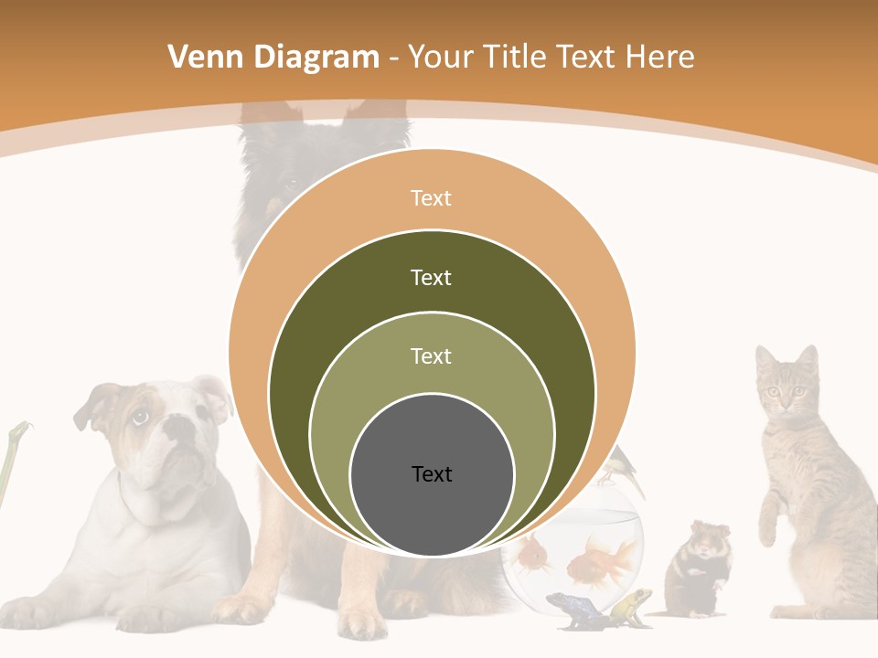 German Shepherd Looking At Camera Ferret PowerPoint Template